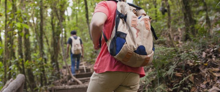 Ministério do Turismo promove chamada pública para projetos sustentáveis no setor